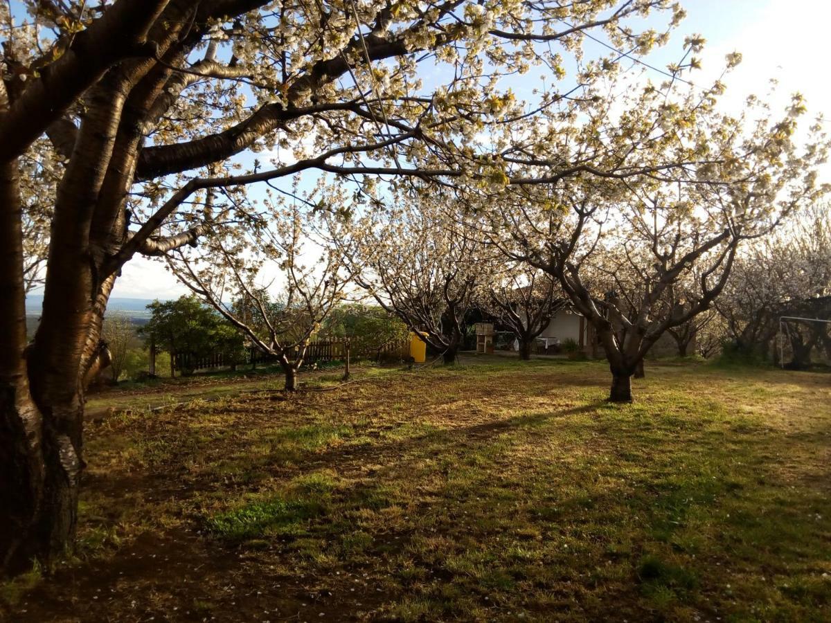 Mirador Los Cotos Torremenga Kültér fotó